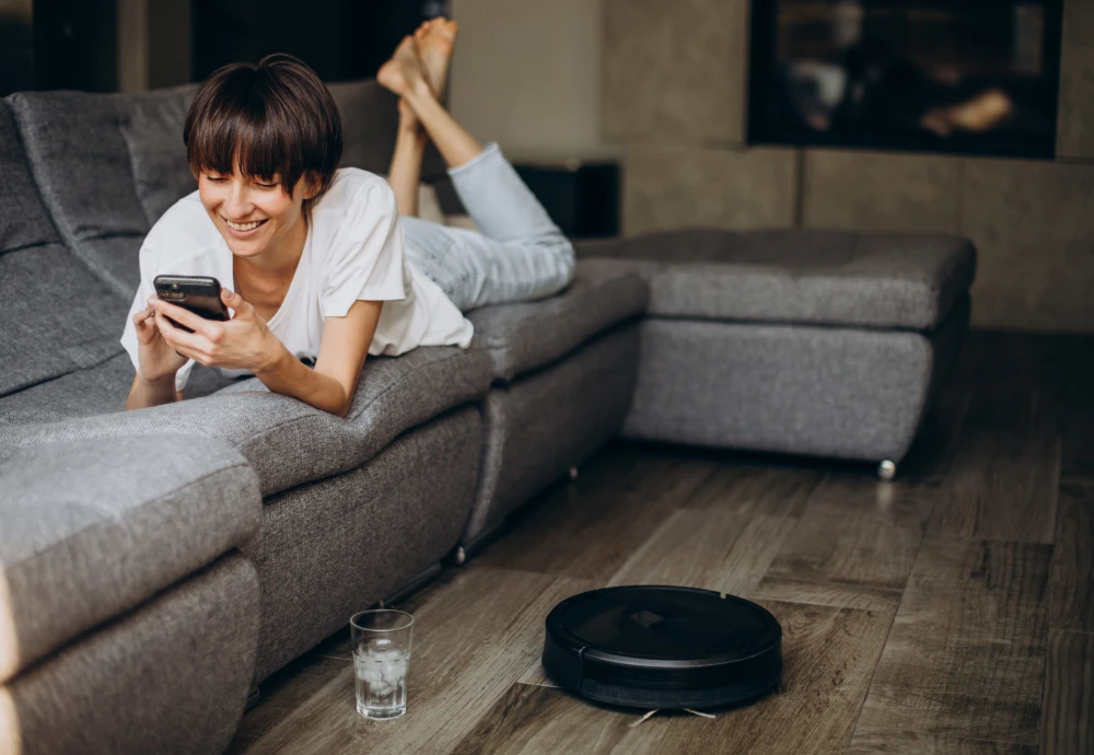 robot vacuum cleaner with docking station